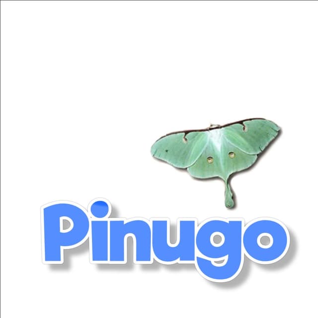 Piugo.com